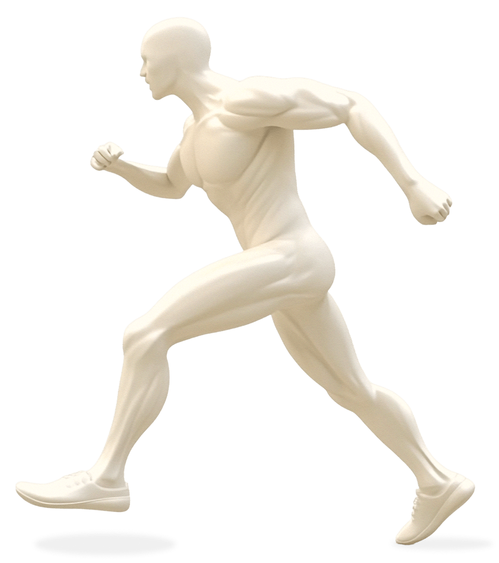 Interactive body diagram showing physiotherapy treatment areas
